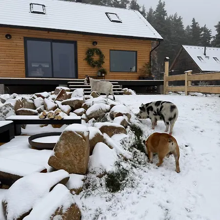 Cozy Daire Smolne Pece